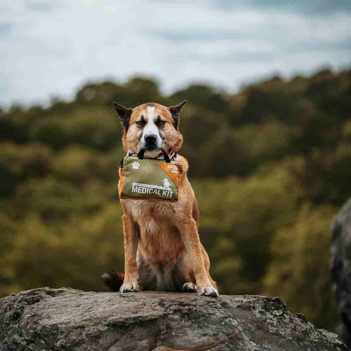 Adventure Dog First Aid Kit - Trail Dog
