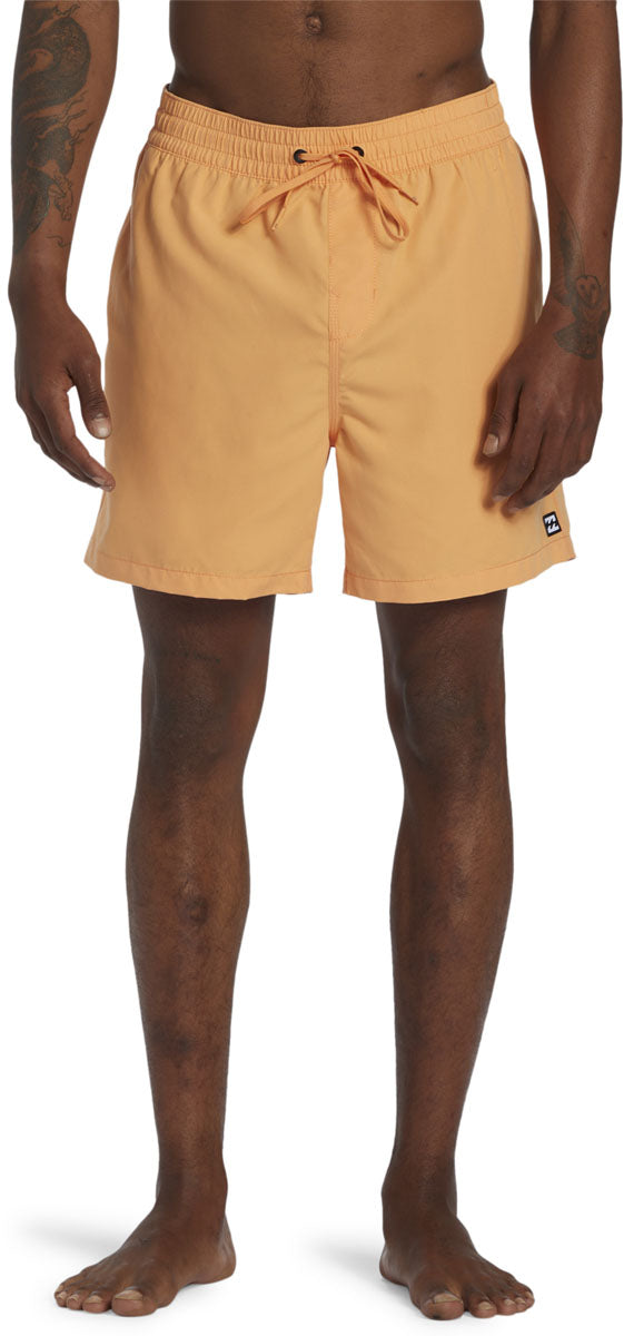All Day Layback Boardshorts - Men's