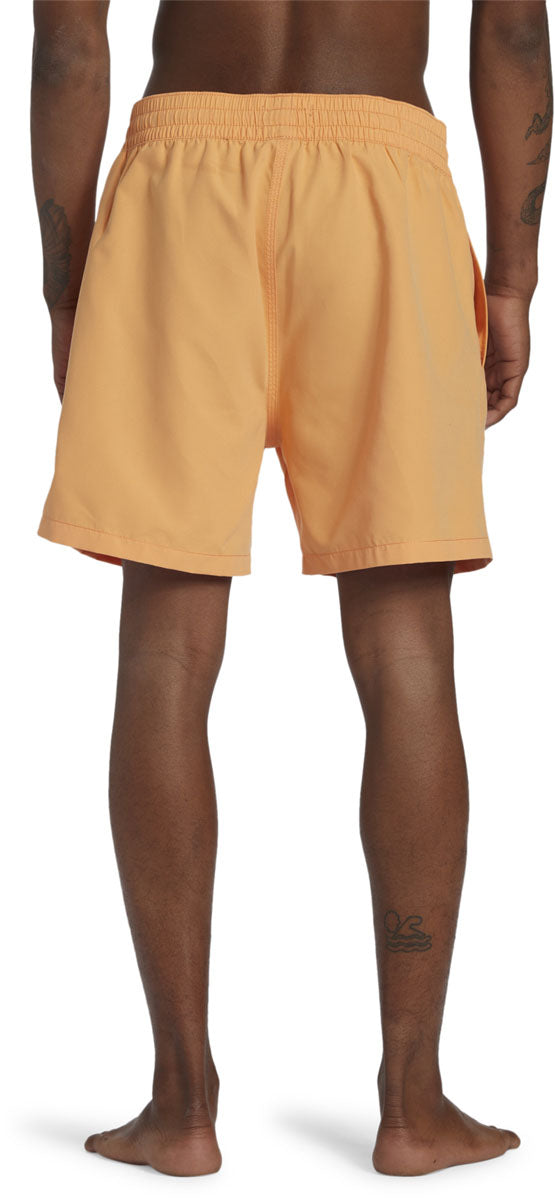 All Day Layback Boardshorts - Men's