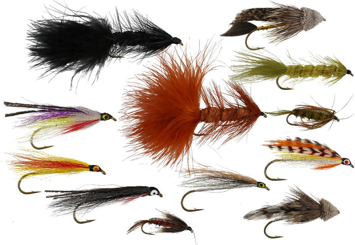 Assorted Streamer Fly Set