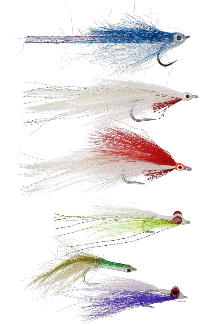 Assorted Striped Bass Fly Set