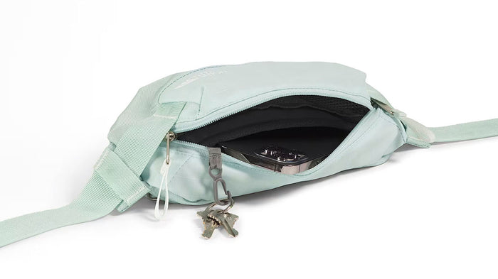 Base Camp Voyager Waist Pack - 1.8 L