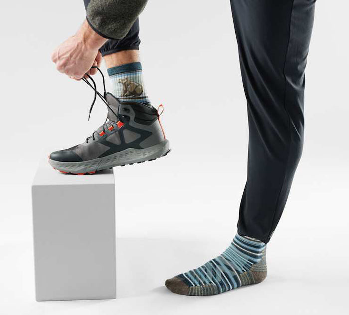 Bear Stripe Hiking Socks - Men's