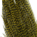 Bugger Pack Feathers