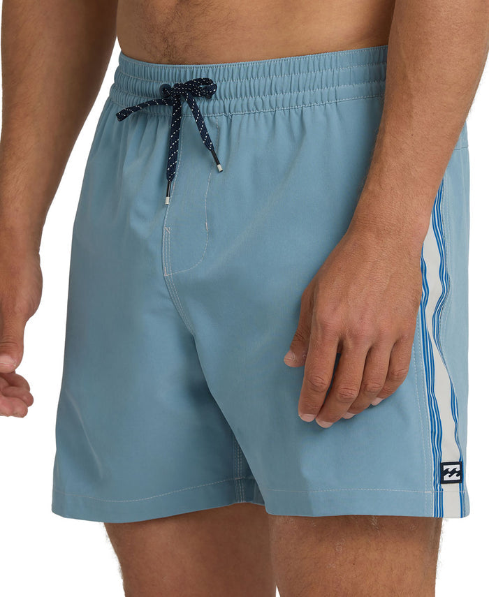Dbah Panel Layback Boardshorts - Men's