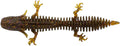 Duratech Ned Salamander Soft Stick Bait - 5/PK