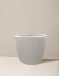 European Round Planter