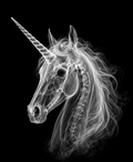 EXPOSED Unicorn Head high-detail X-ray artwork