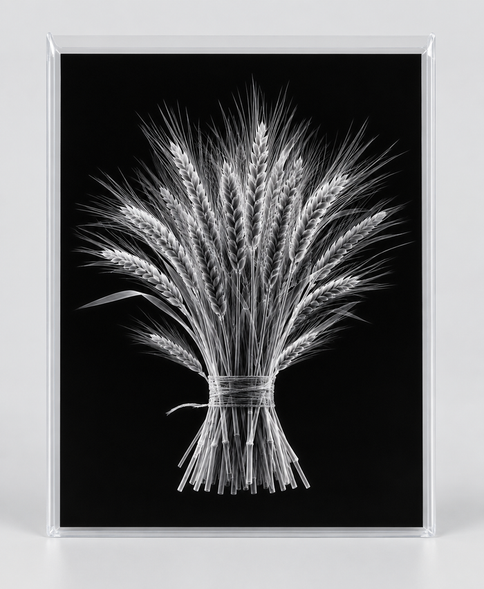 EXPOSED AUTUMN — WHEAT BUNDLE in clear rigid card sleeve
