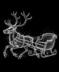 EXPOSED Reindeer and Sleigh detailed X-ray artwork
