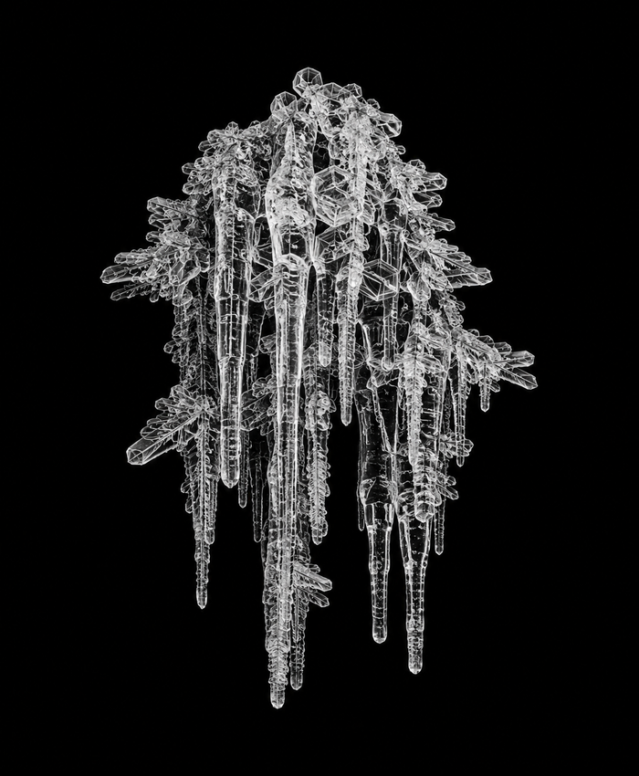 EXPOSED Winter Icicle Cluster X-ray artwork