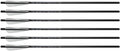 FireBolt Carbon Arrows - 6/PK