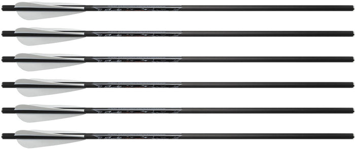 FireBolt Carbon Arrows - 6/PK