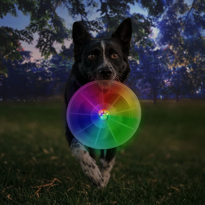Flashflight Dog Light Flying Disc