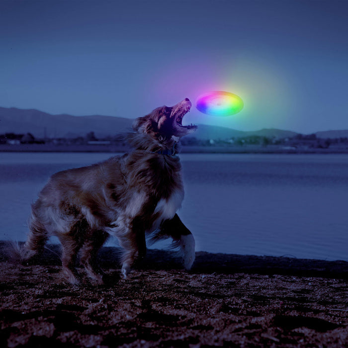 Flashflight Dog Light Flying Disc