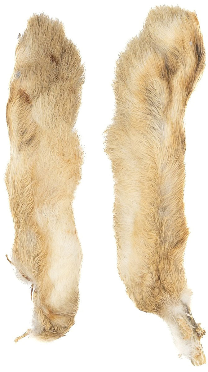 Hare Foot Fly Tying Material