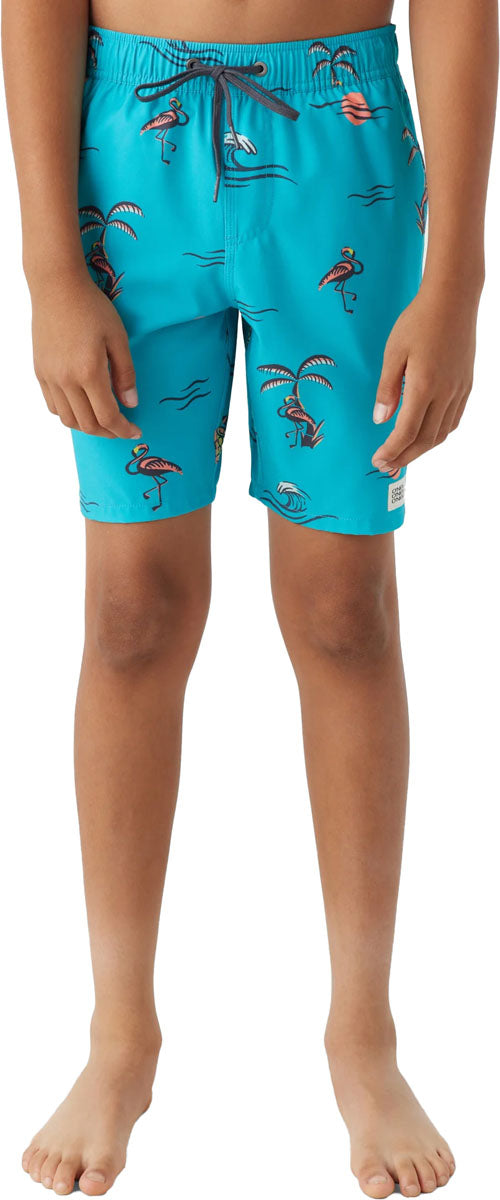 Hermosa Boardshorts - Boys'