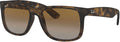 Justin Polarized Sunglasses