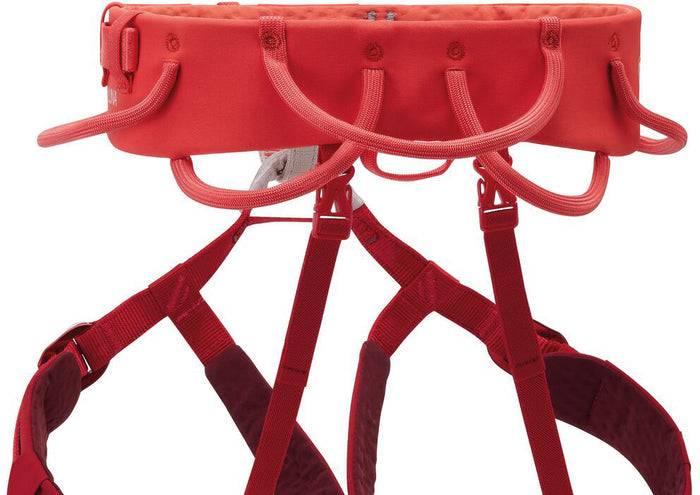 Luna Climbing Harness - Women's