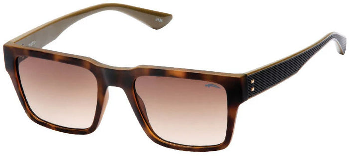 Metro Sunglasses