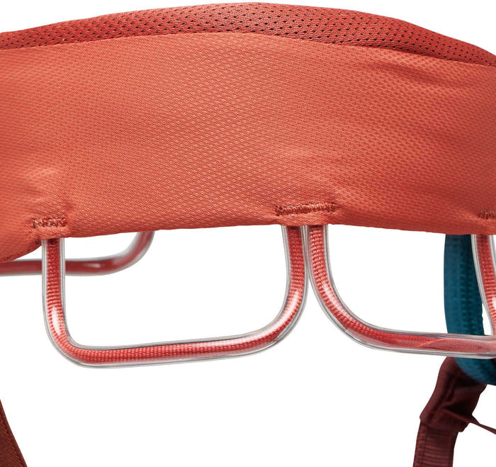 Momentum Climbing Harness - Women's