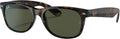 New Wayfarer Classic Sunglasses