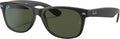 New Wayfarer Classic Sunglasses