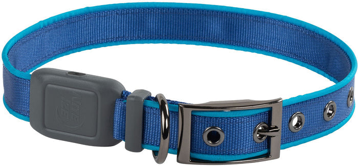 NiteDog Dog Light Collar - Medium