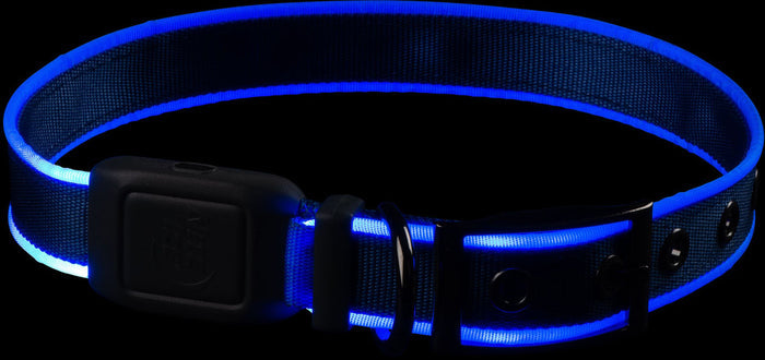 NiteDog Dog Light Collar - Medium