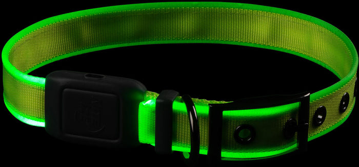 NiteDog Dog Light Collar - Medium
