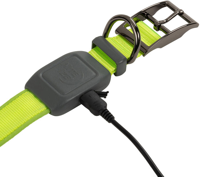 NiteDog Dog Light Collar - Medium