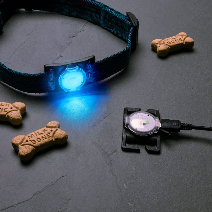 NiteDog Dog Light