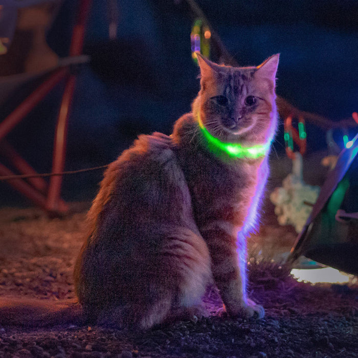 NiteMeow Cat Light Necklace