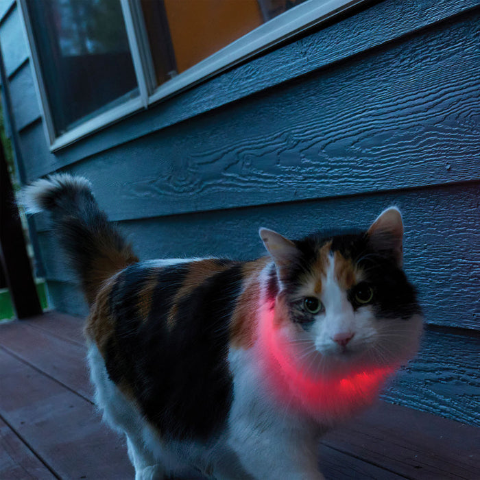 NiteMeow Cat Light Necklace