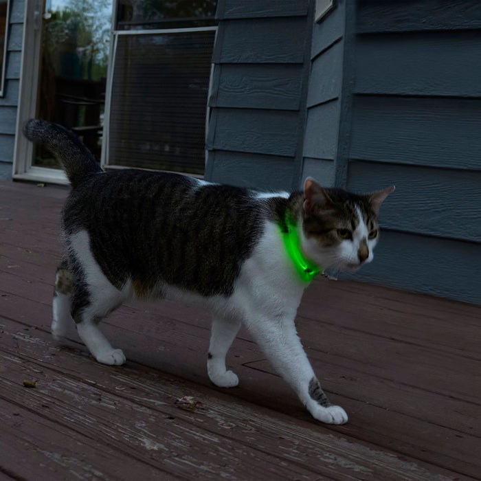 NiteMeow Cat Light Necklace