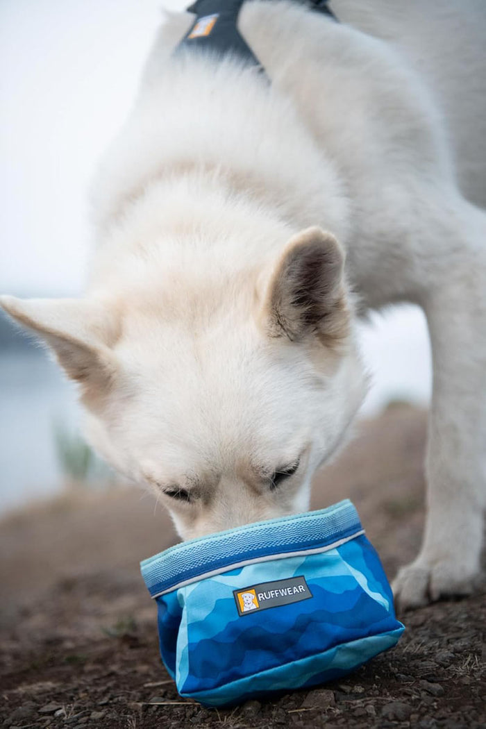 Quencher Collapsible Dog Bowl - Medium