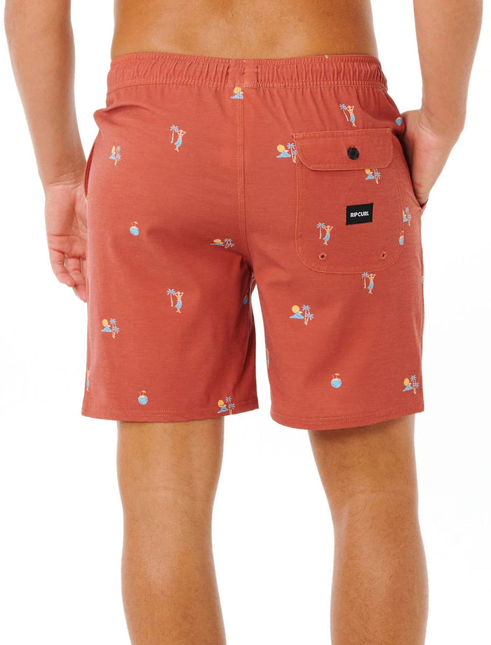 Skelly Breach Boardshorts - Men's