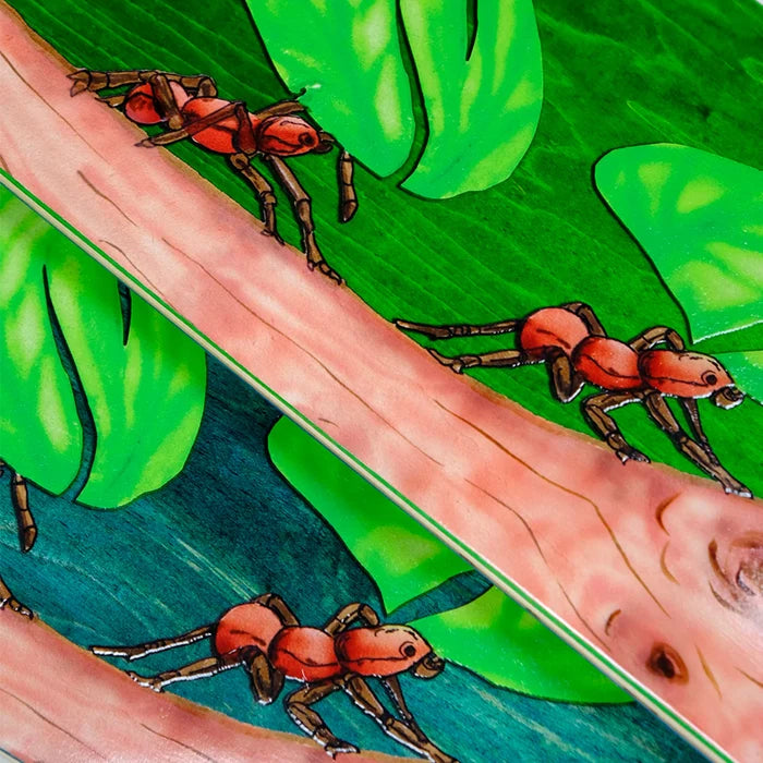 Snack Leafcutter Skateboard Deck detail graphic ants
