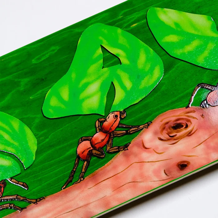 Snack Leafcutter Skateboard Deck detail graphic ant on log
