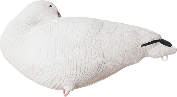 Snow Goose 2.0 Decoy - 6/PK