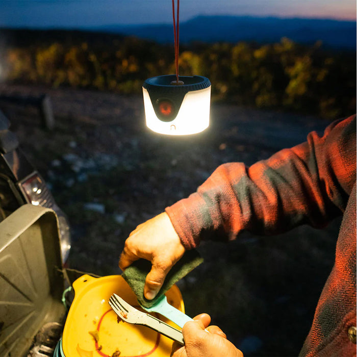 Sprout Lantern