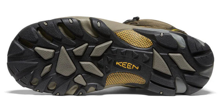Targhee II Mid Waterproof Hiking Boots - Men’s