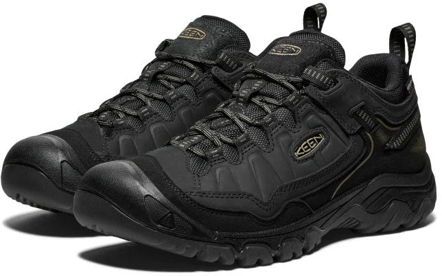 Targhee IV Waterproof Hiking Shoes - Men's