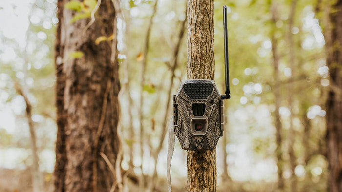 Terra Cell Hunting Camera