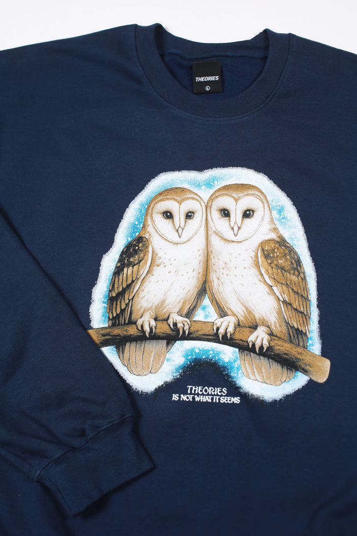 Theories Not What They Seem Crewneck Navy