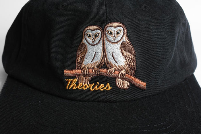 Theories Not What They Seem Strapback Hat Black