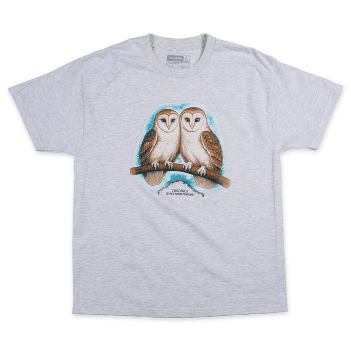 Theories Not What They Seem Tee Ash