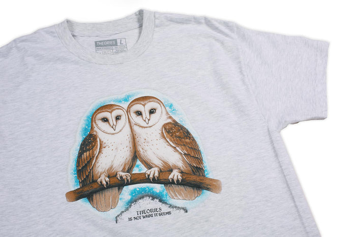Theories Not What They Seem Tee Ash