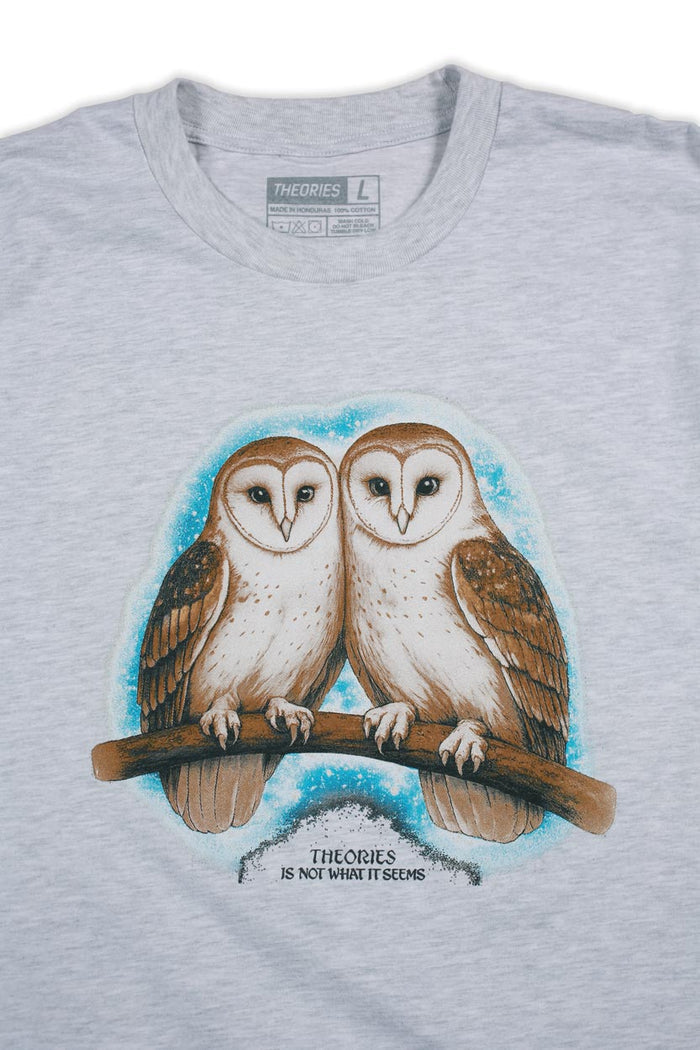 Theories Not What They Seem Tee Ash