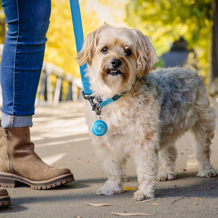 WearAbout Pet Tracker Holder